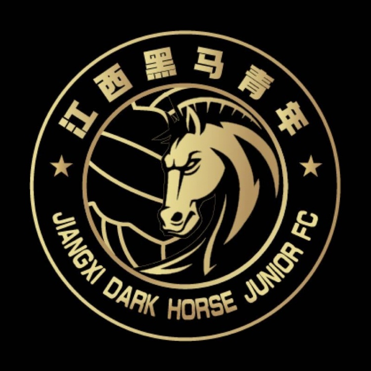  官方：江西黑馬青年完成異地遷移程序，更名為溫州職業(yè)足球俱樂部